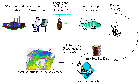 Fishtag lifecycle